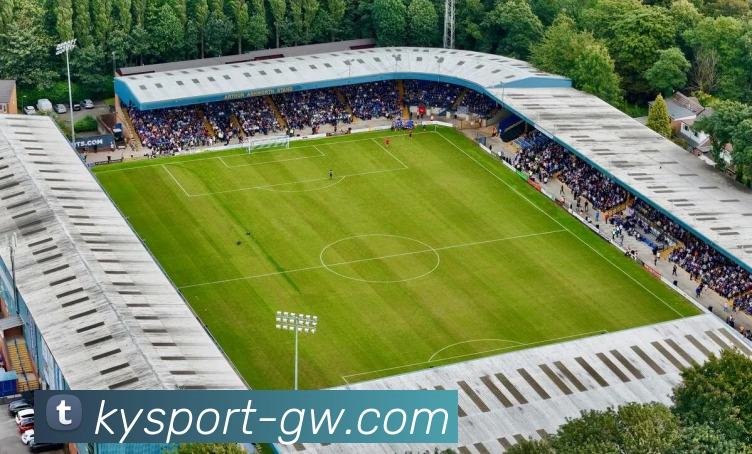 多媒体互动体验